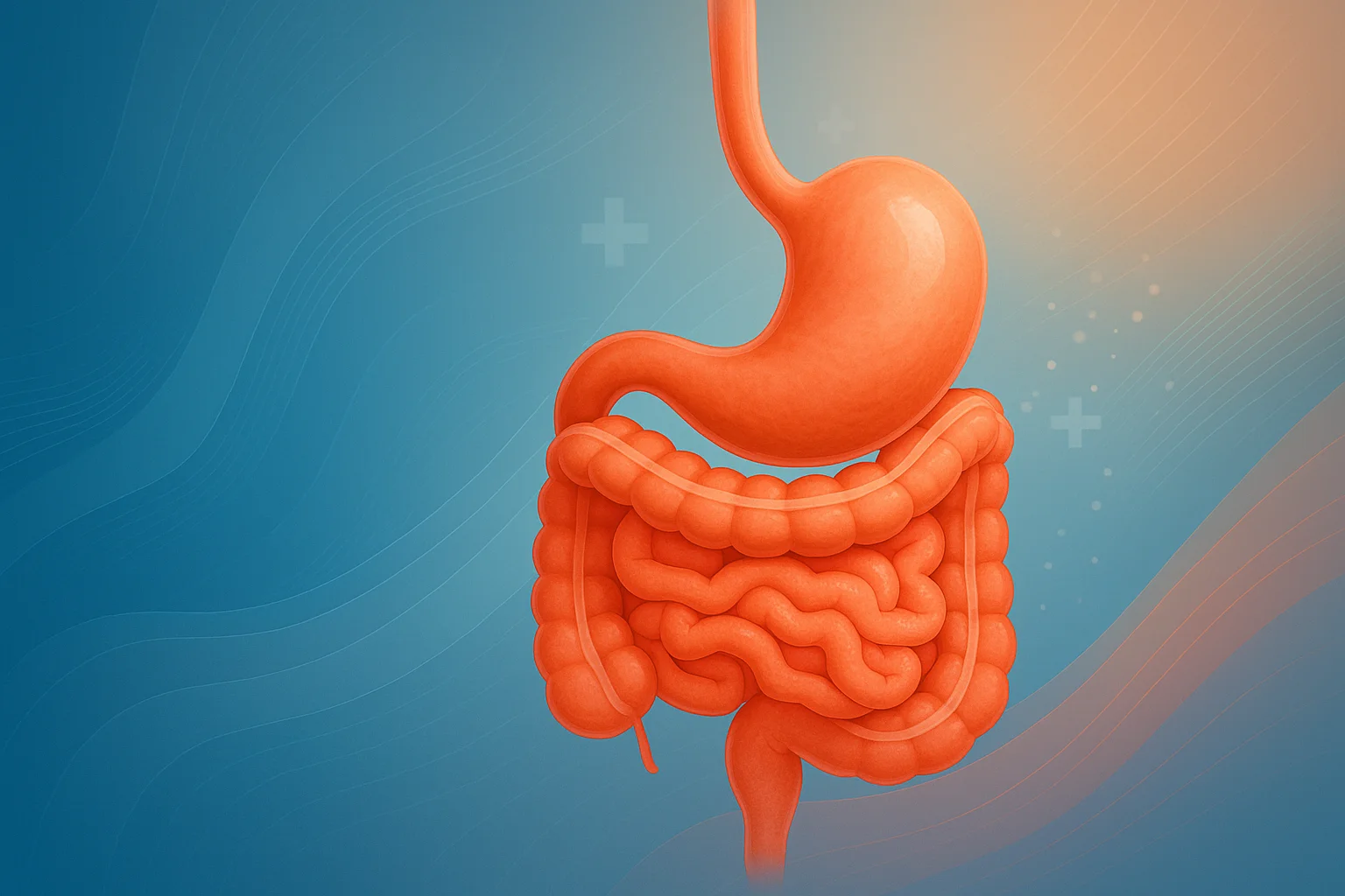 Gastroenterologie